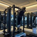 랩 지피티짐 이미지