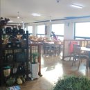 정성들인, 밥 이미지