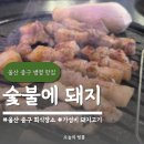 돌하우스 울산병영점 | 울산 중구 병영 맛집 숯불에돼지 가성비 돼지고기 회식장소 추천