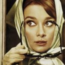 안경채널 이미지