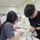 다솜동물메디컬센터 금정점 | 부산 연산동 동물병원 노령견 자궁 축농증 수술받고 왔어요