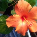 카페친구 이미지