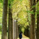 송정제방 이미지