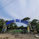 [시흥 애견동반카페]메르블루(Mer Bleue)후기