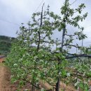 서대산농장 이미지