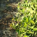 황기슈퍼 이미지