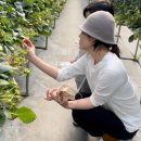 채림농장 이미지