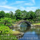 떼아모 이미지