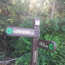 금대주유소