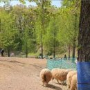 늘솔길근린공원(4호) 공원화장실 네이버블로그