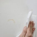 뽑아뽑아 | 쉼표365 뽑아쓰는키친타올 대용량 키친타월 후기