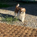 오늘도 즐겁개 이미지