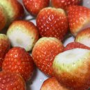 근우농장 이미지