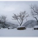 숲속의민박 이미지