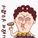 8월31일(토) 노적봉/처음처럼/난 널 사랑해(정재대장) 이미지