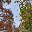 위례성대로 이미지