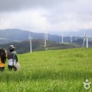 순환목장 이미지