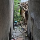영동3차아파트 | 김관채 고양이탐정 후기/(강원도 강릉 / 고양시 일산) 주택에서 탈출한지 4일 된, 손 안타는 올블랙...