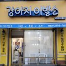 강아지 이발소 이미지