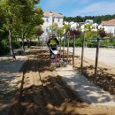 송림 초등학교 병설 유치원 이미지