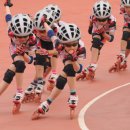 을숙도 인라인경기장 이미지