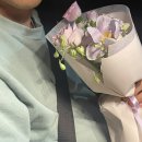바이마이플레르 이미지