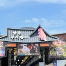 중앙신시장 | 안동 구시장 안동 중앙신시장 비교 방문 후기(주차)