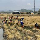 보령센터-041 이미지