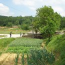 큰재 주차장 이미지