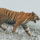 대관령주막집 이미지