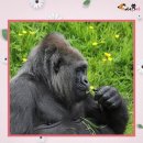 봄이 왔나 봄 이미지