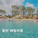 패밀리 워터파크 | 동탄 패밀리풀 무료 워터파크 수영장 예약 방문 후기