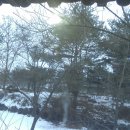 모둘자리 이미지