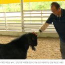 영철농장 이미지