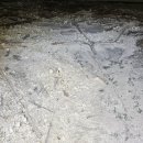 방촌로(1) 이미지