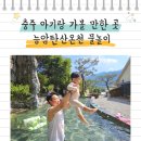 새바지길 | 충주 아이랑 가볼 만한 곳 능암탄산온천 물놀이 후기