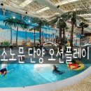 플레이오션(26) 이미지