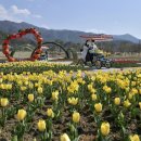 장수군누리파크 이미지