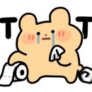 새재자전거길 1 이미지