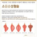 위즈미여성의원 이미지