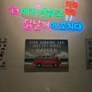 1976북경닭날개 이미지