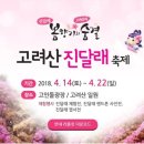 진달래다육