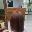 트라움헤어 이미지
