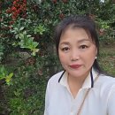 가을음악회 | 김천여행 힐링스팟 가볼만한곳 직지사 템플스테이 가능