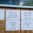 뉴백마린호