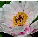 희망화원 이미지