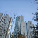 탑플러스공인중개사사무소 이미지