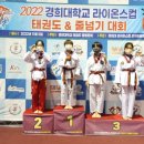 라이온스태권도 이미지