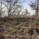 예스부동산중개주식회사 이미지