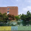 백양중학교 | 중학교 2학년에게 UN/외교관 진로를 가르친다는 것 - 백양중 강의 후기